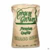 BWI™ Gulf Annual Ryegrass Seed