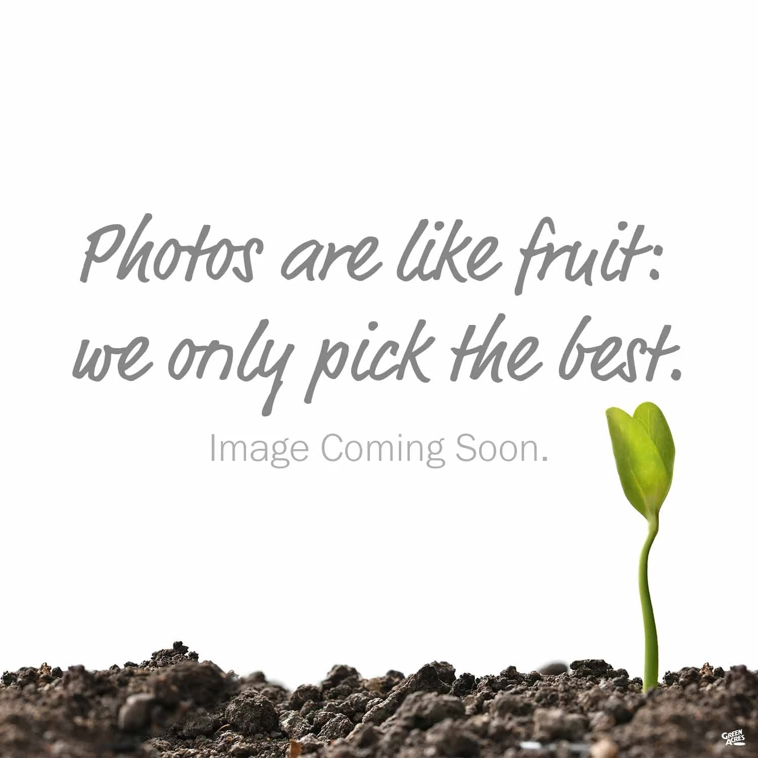 Pennington® Smart Seed® Southern Sun And Shade Grass Seed 2 Pennington® Smart Seed® Southern Sun And Shade Grass Seed - Image 2