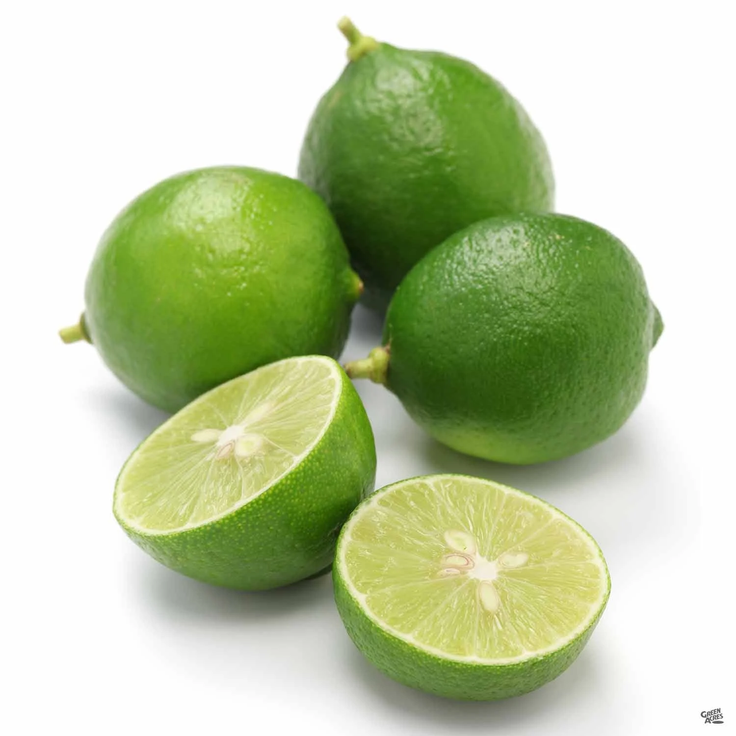 Lime 'Mexican Key', Semi-Dwarf 2 Lime 'Mexican Key', Semi-Dwarf - Image 2