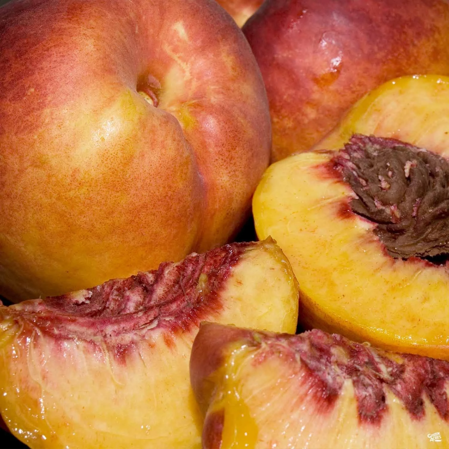 Nectarine 'Fantasia' 1 Nectarine 'Fantasia'