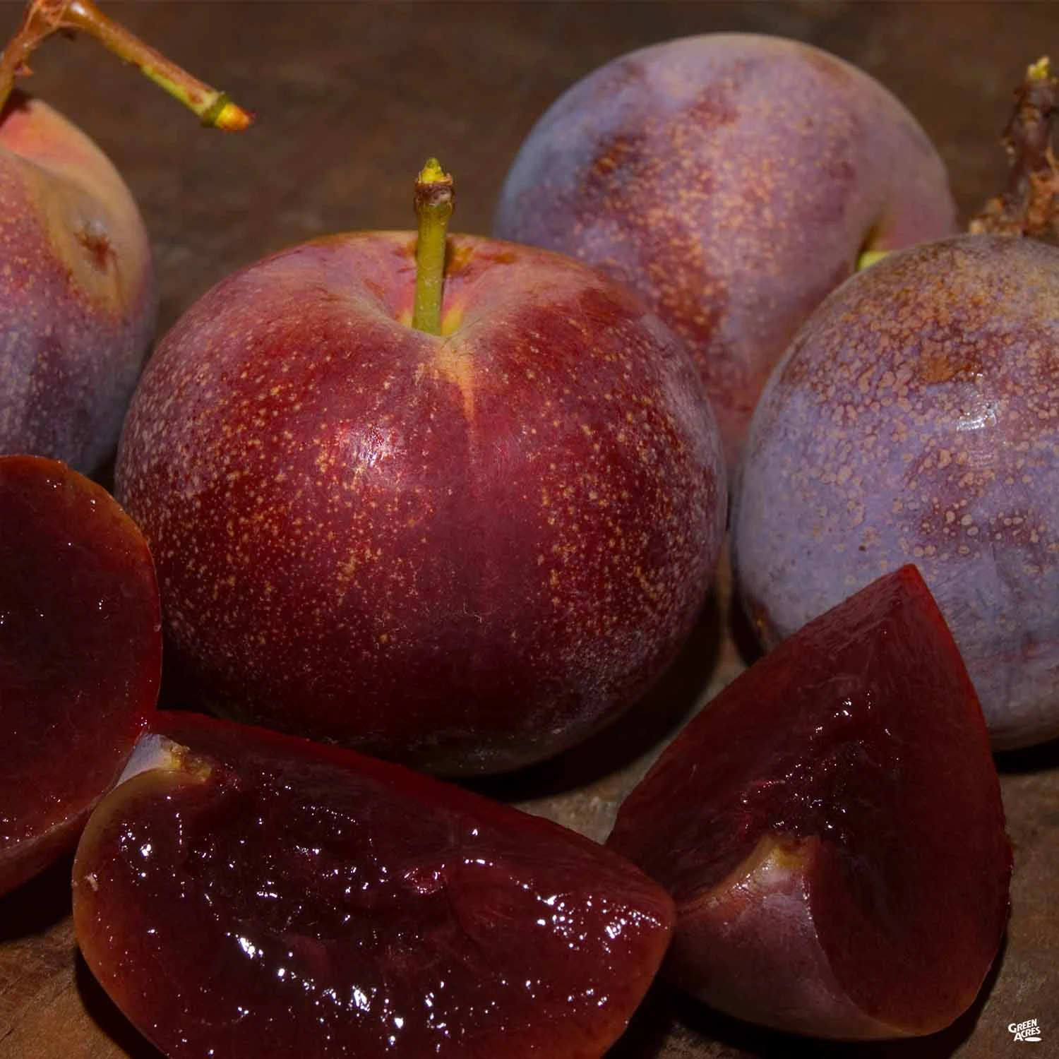 Plum 'Satsuma' 1 Plum 'Satsuma'