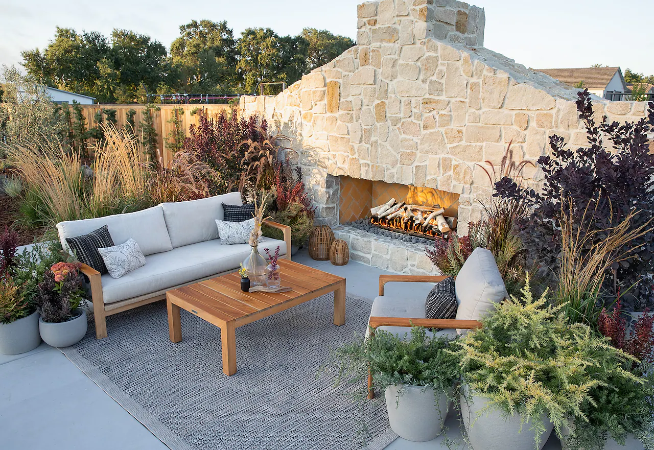 Fresh Tree Shop -Fresh Tree Shop d4ada3a44305ae3cb29257f73f65